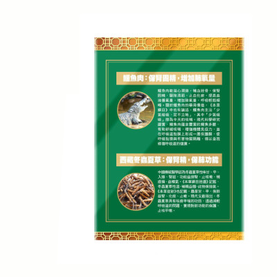 樂道 補肺益腎丸 48粒