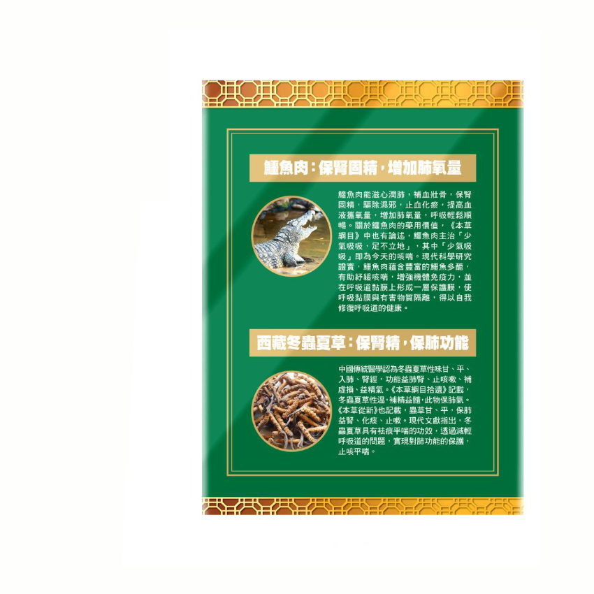 樂道 補肺益腎丸 48粒