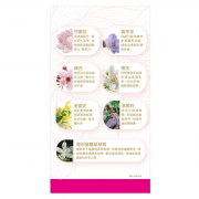 Noto 樂道 漢藥花煥膚舒60毫升