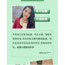 潤和-艾草足貼 腳貼 排毒足貼  [20貼]  強效艾草竹酢貼  祛濕足貼 天然草本足貼 養生暖足貼 散寒除濕 睡眠腳底貼