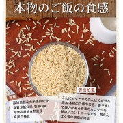 蒟蒻纖 - 烘乾高蛋白蒟蒻米 純素食烘乾蒟蒻米 100g【高蛋白 超低卡】魔芋米 適合低醣飲食 低脂肪 低糖 低碳水化合物 無添加 即食蒟蒻米