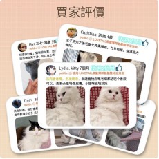 Lovetail-黑葉薄荷氨基酸沐浴泡泡 300ml 貓咪冲涼液 洗毛液 溫和不刺激 持久留香沐浴露 清潔皮膚 清潔毛髮【貓貓專用】