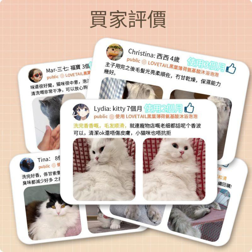 Lovetail-黑葉薄荷氨基酸沐浴泡泡 300ml 貓咪冲涼液 洗毛液 溫和不刺激 持久留香沐浴露 清潔皮膚 清潔毛髮【貓貓專用】
