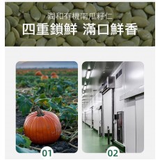 南瓜子 原味南瓜籽仁 罐裝 (200g) 零添加 非油炸 天然有機 健康食品 零食 乾果零食 堅果