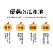 南瓜子 原味南瓜籽仁 罐裝 (200g) 零添加 非油炸 天然有機 健康食品 零食 乾果零食 堅果