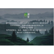 南瓜子 原味南瓜籽仁 罐裝 (200g) 零添加 非油炸 天然有機 健康食品 零食 乾果零食 堅果