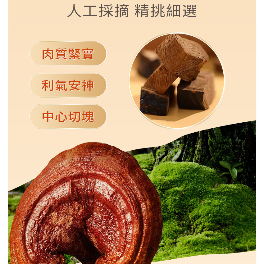 靈芝石斛西洋參茶 6g*20包 西洋參茶 石斛花茶 靈芝 滋陰潤肺 抗疲勞 三角茶包 養生茶包 石斛 西洋參