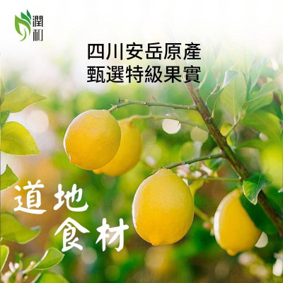 潤和花茶YEUNWO TEA-檸檬乾 30g 檸檬片 水果茶 檸檬茶 維他命C補充 生津止渴 開胃提神 美白養膚 即食檸檬