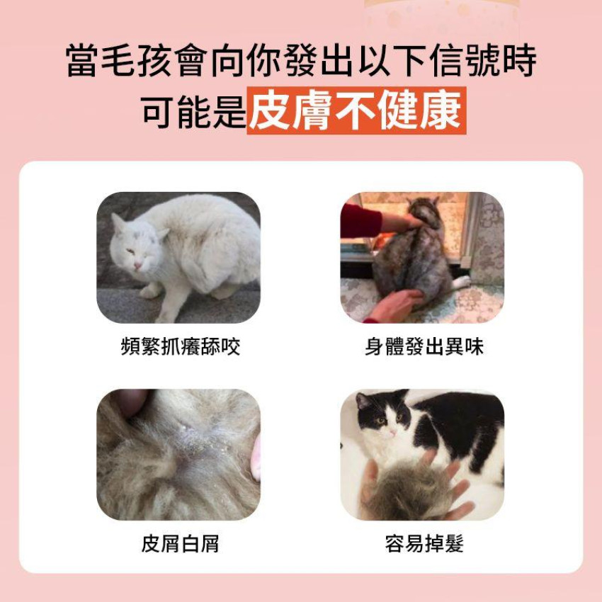 Lovetail - 寵物沐浴露300ml 寵物酵素二合一洗護香波 天然酵素配方 溫和清潔毛髮 抑制細菌 沖涼液 舒緩肌膚 貓狗通用