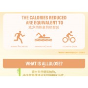 天然羅漢果糖 赤蘚糖醇 【400克】0糖0脂0卡天然代糖 無糖生酮替代糖