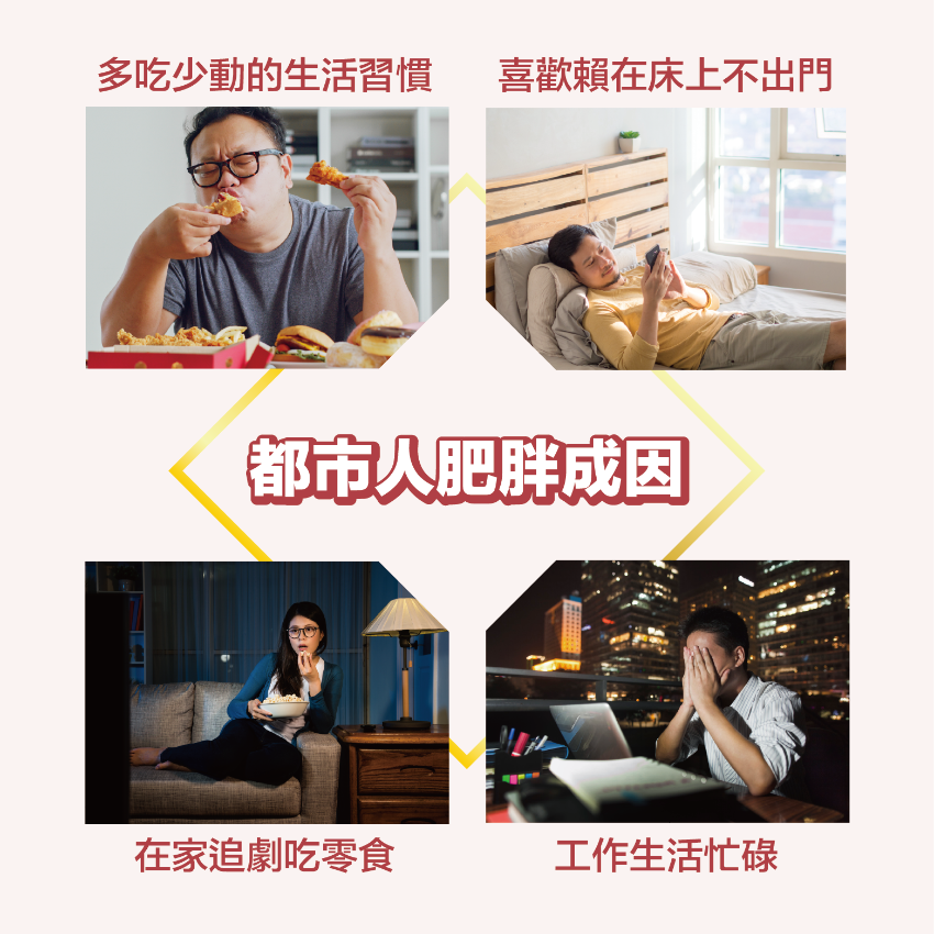 川御 燒脂の御守 60粒裝 減肥燒脂｜卡路里消耗｜抑制食慾｜分解脂肪