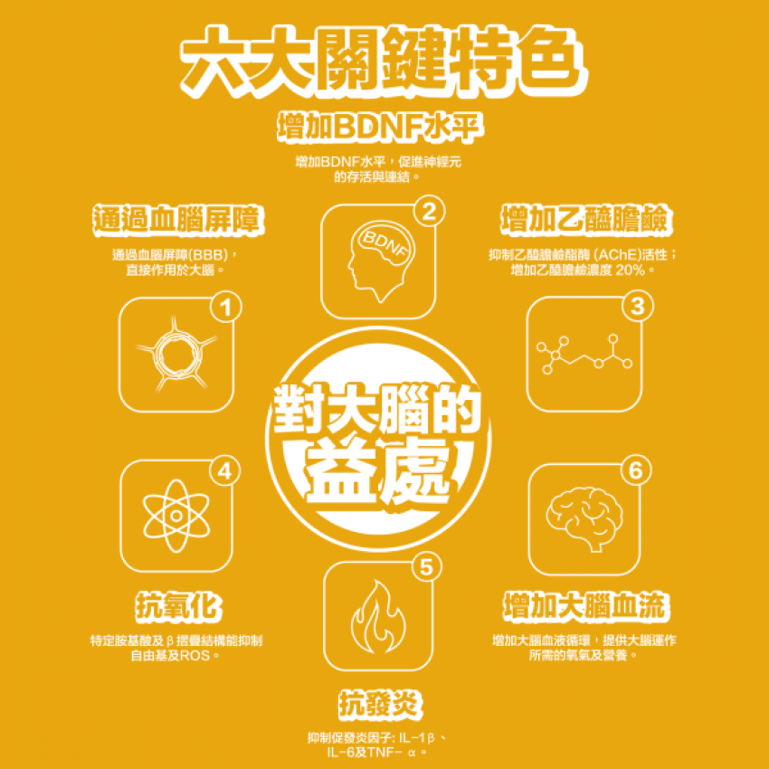 川御 TY Science 腦力の御守 60粒 補充品｜增進記憶力