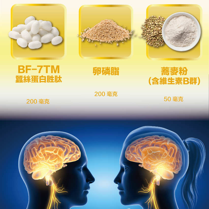 川御 TY Science 腦力の御守 60粒 補充品｜增進記憶力