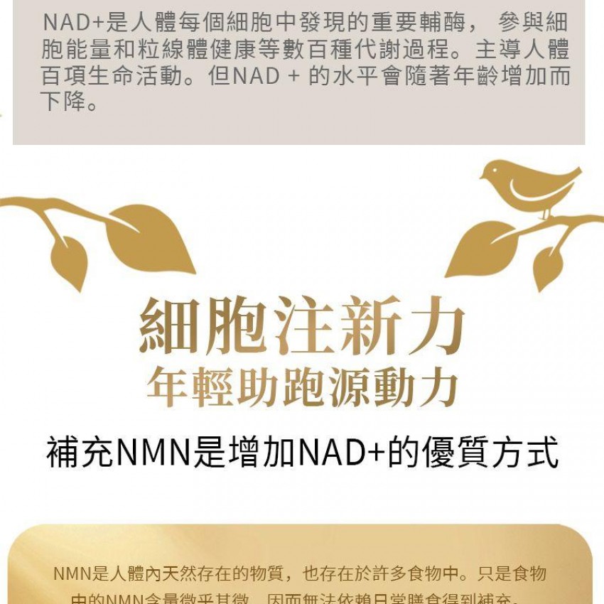 美國製造 NMN 青春寳 NAD+補充劑 逆齡美肌NMN 抗衰老 naturitious COMPLEX  150粒(5粒x30包)