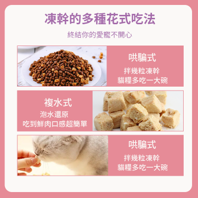 寵物趣食-凍乾三文魚 90g 寵物零食 凍乾零食 脫水三文魚 獎勵零食 幼犬訓練輔助 寵物食物 0添加純天然 貓犬零食