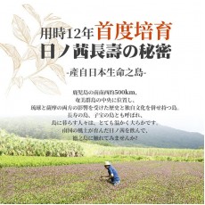 日茜 - 日本日茜茶世界自然遺產鹿兒島長壽茶 2g*20包 三高必備|餐後降血糖|油脂分降
